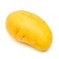 Organic Ataulfo Mango