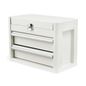 Member’s Mark 2-Drawer Mini Tool Box - Various Colors
