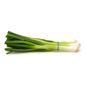 Green Onions (Scallions)