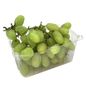 Green Seedless Grapes