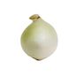 White Jumbo Onions