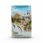 Taste of the Wild Ancient Stream Canine Recipe With Smoked Salmon Dog Food