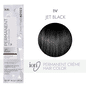 ion 1V Permanent Creme Hair Color - Jet Black
