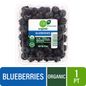 Simple Truth Organic® Blueberries