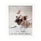 Studio Decor Home Flat Frame, 11 x 14 in - White