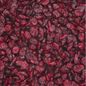 Organic Dried Cranberries
