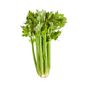 Organic Celery