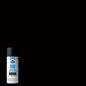 Project Source Economy Spray Paint - Flat Black