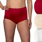 Women's Vanity Fair Lingerie® Perfectly Yours Ravissant 3-Pack Brief Panty Set 15711, Size: 9, Legacy Red