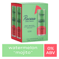 Recess Craft Mocktail Watermelon "Mojito"