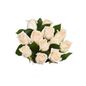 Bloom Haus Dozen Rose White
