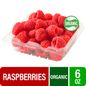 Fresh Organic Red Raspberries - 6 OZ Clamshell
