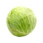 Green Cabbage