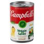 Campbell's Veggie Safari Soup