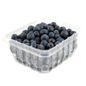 Organic Blueberries Package