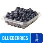 Fresh Blueberries - 1 PT Clamshell