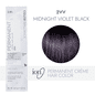 ion Permanent Crème Hair Color - 2VV Midnight Violet Black