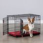 Kong Ultra-Strong Double Door Wire Dog Crate With Divider Panel