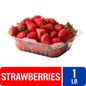 Fresh Strawberries – 1 LB Clamshell
