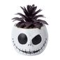 Disney Tim Burton's The Nightmare Before Christmas Jack Skellington Faux Succulent Terrarium Mini Planter