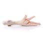 Chicken Feet