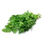 Organic Italian Parsley Bunch