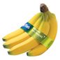 Organic Organic Bananas