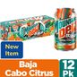 Mountain Dew® Baja Cabo Tropical Citrus Punch Soda cans
