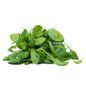 Baby Spinach