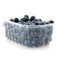 Blueberries Package