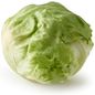 LETTUCE HEAD 24S WRPD CTN