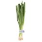 Green Onions