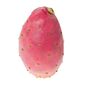Cactus Pear
