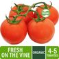 Fresh Organic On the Vine Tomatoes (4-5 Tomatoes per Bunch)