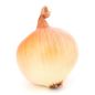 Sweet Onion