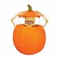 Fun World Pumpkin Peeper Light-Up Kit