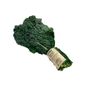 Capay Organic Organic Kale