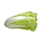 Napa Cabbage