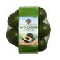 Hass Avocados