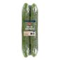 English Seedless Cucumber