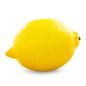 Seedless Lemon