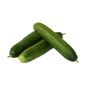 Organic Persian (Armenian) Cucumber