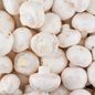 White Mushroom