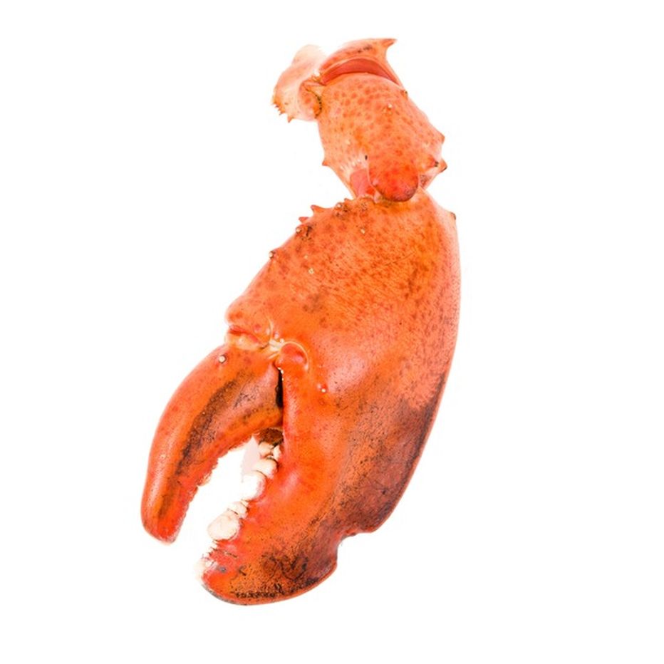 Cooked Lobster Claws